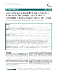 Cyclooxygenase 2-Dependent and Independent Activation of Akt