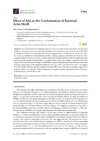 Effect of A22 on the Conformation of Bacterial Actin Mreb