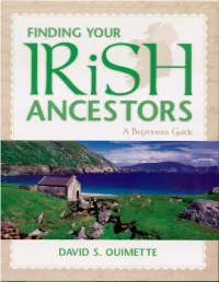 Finding Your Irish Ancestors: a Beginner's Guide