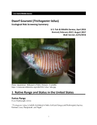Trichogaster Lalius) Ecological Risk Screening Summary