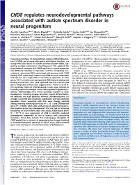 CHD8 Regulates Neurodevelopmental Pathways Associated with Autism Spectrum Disorder in Neural Progenitors