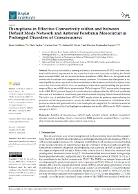 Disruptions in Effective Connectivity Within and Between Default Mode Network and Anterior Forebrain Mesocircuit in Prolonged Disorders of Consciousness