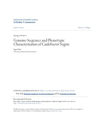 Genome Sequence and Phenotypic Characterization of Caulobacter Segnis Sagar Patel University of South Carolina-Columbia