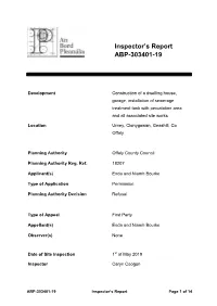 Inspector's Report ABP-303401-19