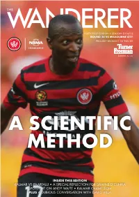 View Now Issue 41