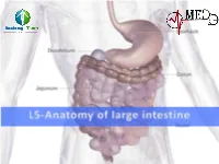 Appendix =(Sigmoid Pelvis)
