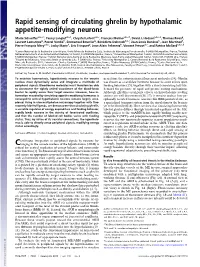 Rapid Sensing of Circulating Ghrelin by Hypothalamic Appetite-Modifying Neurons