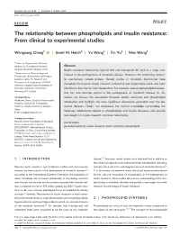 The Relationship Between Phospholipids and Insulin Resistance: from Clinical to Experimental Studies