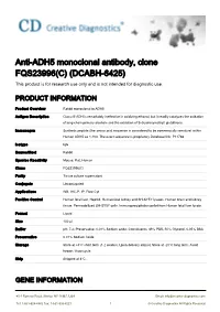 Anti-ADH5 Monoclonal Antibody, Clone FQS23996(C) (DCABH-6425) This Product Is for Research Use Only and Is Not Intended for Diagnostic Use