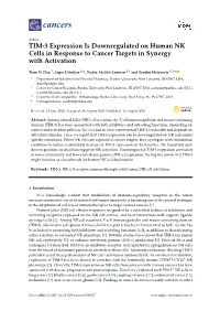 TIM-3 Expression Is Downregulated on Human NK Cells in Response to Cancer Targets in Synergy with Activation