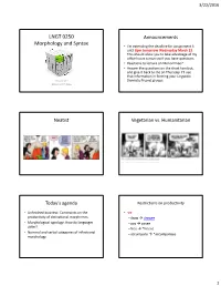 LNGT 0250 Morphology and Syntax