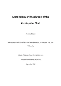 Sexual Selection and Macroevolution