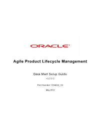 Data Mart Setup Guide V3.2.0.2