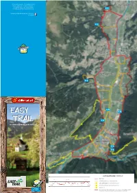 Easy Trail Easy