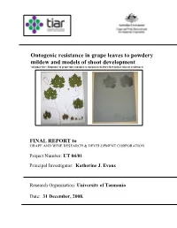 Ontogenic Resistance in Grape Leaves to Powdery Mildew and Models Of