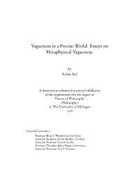 Vagueness in a Precise World: Essays on Metaphysical Vagueness