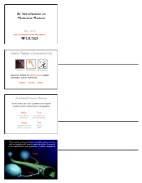 An Introduction to Molecular Motors