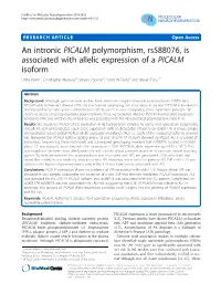 An Intronic PICALM Polymorphism, Rs588076, Is Associated with Allelic