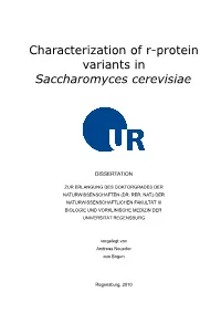Characterization of R-Protein Variants in Saccharomyces Cerevisiae