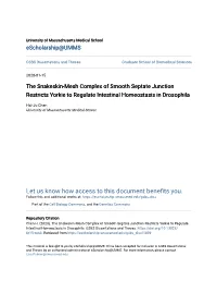 The Snakeskin-Mesh Complex of Smooth Septate Junction Restricts Yorkie to Regulate Intestinal Homeostasis in Drosophila