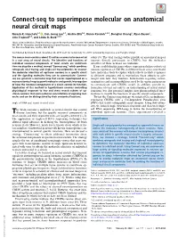Connect-Seq to Superimpose Molecular on Anatomical Neural Circuit Maps