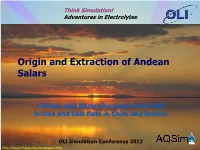 Origin and Extraction of Andean Salars