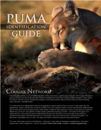 Puma Field Guide, Available At