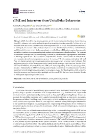 Eif4e and Interactors from Unicellular Eukaryotes
