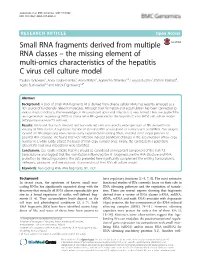 Small RNA Fragments Derived from Multiple RNA Classes – the Missing