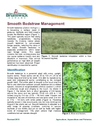 Smooth Bedstraw Management