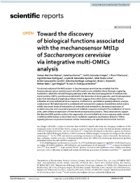 Toward the Discovery of Biological Functions Associated with the Mechanosensor Mtl1p of Saccharomyces Cerevisiae Via Integrative