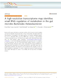 A High-Resolution Transcriptome Map Identifies Small RNA