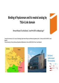 Binding of Hyaluronan and Its Neutral Analog by TSG-6 Link Domain