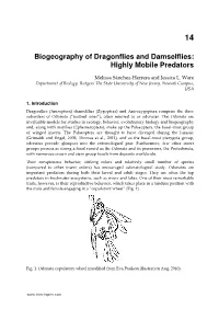 Biogeography of Dragonflies and Damselflies: Highly Mobile Predators