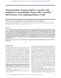 A Protein with Similarities to Caenorhabditis Elegans SMG5 and SMG7 That Functions in the Dephosphorylation of Upf1