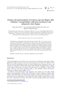 Female Color Polymorphism of Ischnura Capreolus Hagen, 1861 (Odonata: Coenagrionidae) with Notes on Behavior and Ontogenetic Color Changes
