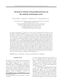 Structural Relations and Pseudosymmetries in the Andorite Homologous Series
