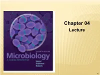Chapter 04 Lecture