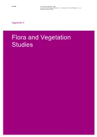 Environmental Review Document – Iron Valley Below Water Table