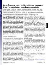Furan Fatty Acid As an Anti-Inflammatory Component From