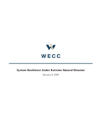 2019 ENDTF Reliability Assessment Report