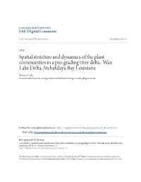 Spatial Structure and Dynamics of the Plant Communities in a Pro-Grading River Delta