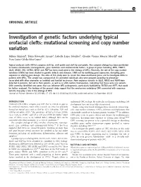 Investigation of Genetic Factors Underlying Typical Orofacial Clefts: Mutational Screening and Copy Number Variation