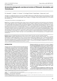 Acremonium Phylogenetic Overview and Revision of Gliomastix, Sarocladium, and Trichothecium