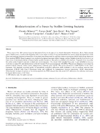 Biodeterioration of a Fresco by Biofilm Forming Bacteria