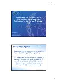 IAEA Remediation of a Canadian Legacy Uranium Mine And