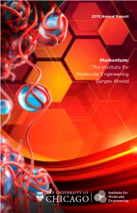 Momentum: the Institute for Molecular Engineering Surges Ahead IME Annual Report 2013 Momentum: IME Surges Ahead the University of Chicago Table of Contents 1