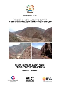 Phase Ii Report (Draft Final): Project Definition Options Executive Summary