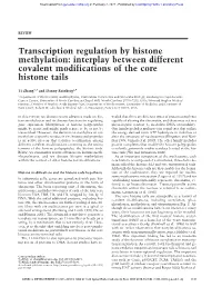 Transcription Regulation by Histone Methylation: Interplay Between Different Covalent Modifications of the Core Histone Tails