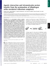 Agostic Interaction and Intramolecular Proton Transfer from the Protonation